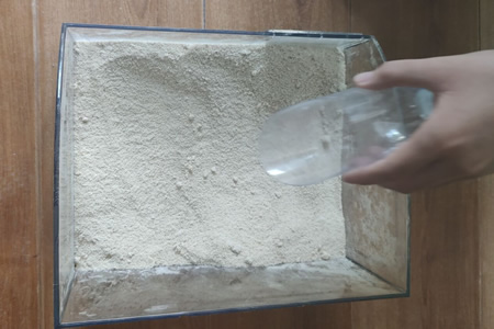 衡水鸿昊白色乳胶胶粉现货价格稳定
