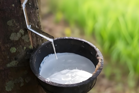 衡水橡胶城天然胶全乳胶价格微涨50元/吨