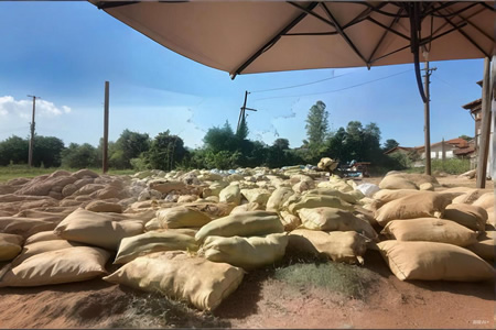 上海24年广垦天然胶价格14800元/吨