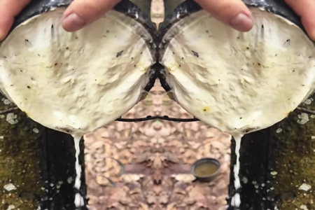 泰国天然胶原料杯胶价涨0.1元