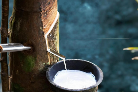 天然乳胶价格暂稳 下游拿货谨慎